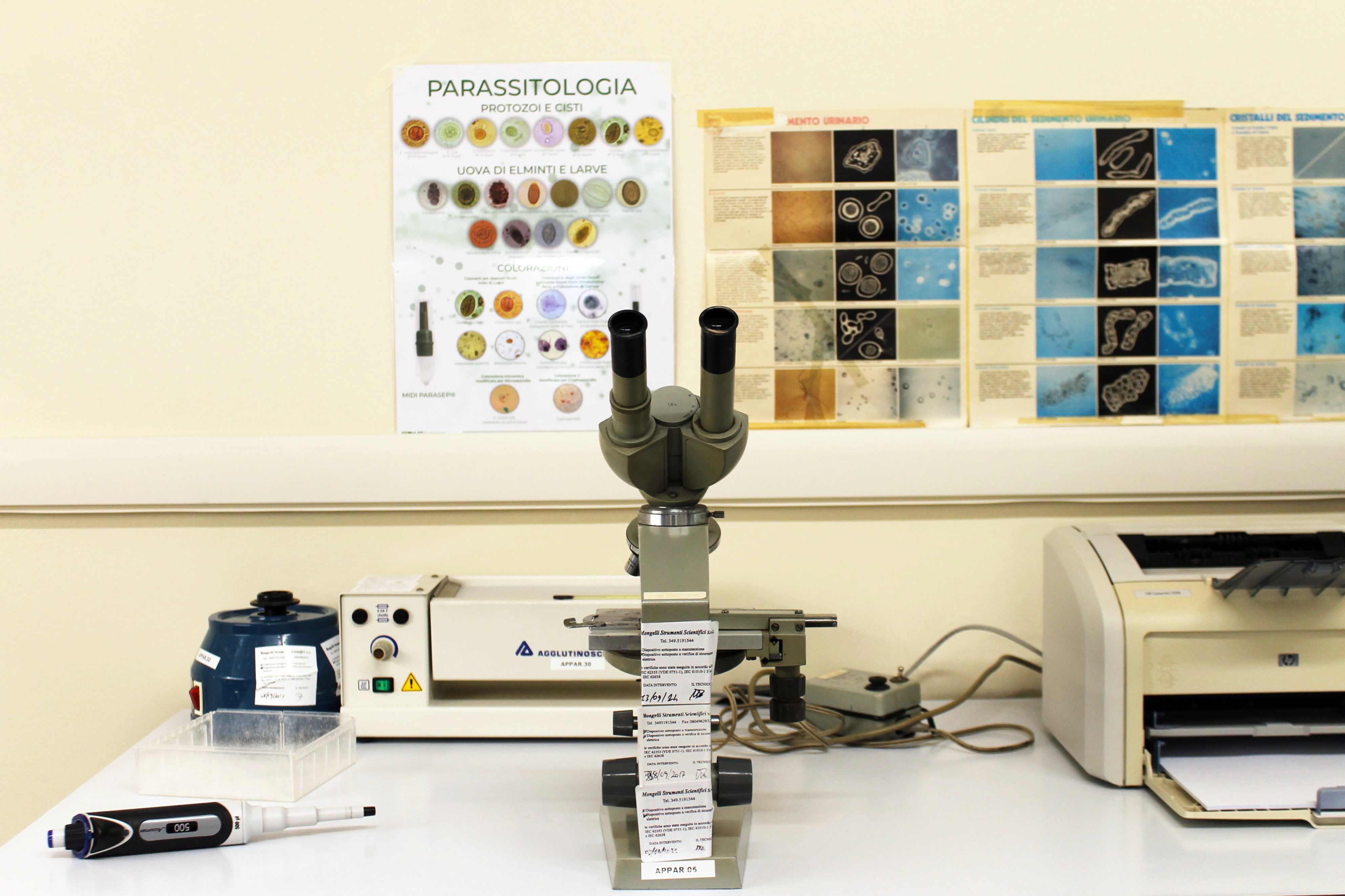 Laboratorio De Vitis